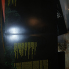 Conscious Youthsin See Why lp uusi - pikkukuva 3