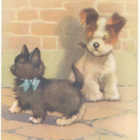 KOIRA-kortti, kulk. 1958 - pikkukuva 1