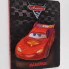Walt Disney : Salama - pikkukuva 1