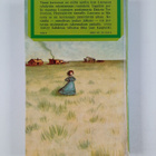 Laura Ingalls Wilder : Hopeajärven rannalla - pikkukuva 2