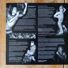 Iggy And The Stooges - Metallic 'KO LP - pikkukuva 4