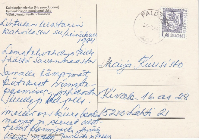 Postileima,  PALOKKA, kuva Keltakurjenmiekka
