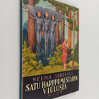 Nelma Sibelius : Satu harppumestarin viulusta - pikkukuva 1