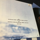 Rainbirds 1987 Mercury lp inn Ger ja Mint! - pikkukuva 3