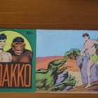 Viidakko 11/1959-sarjakuva - pikkukuva 1
