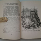A.E. Ingman: Rimpisuon usvapatsas, v. 1955 - pikkukuva 5