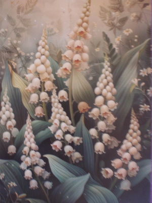 Kielot