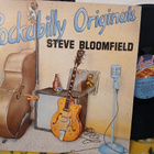 Steve Bloomfield LP - pikkukuva 1