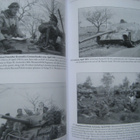 The Polish 1st Armoured Division 1939-47 - pikkukuva 4