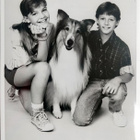 Pressikuva: Lassie - pikkukuva 1