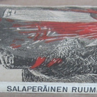 Stein Riverton: Salaperäinen ruumisarkku, Andersin 1925. 88s - pikkukuva 2