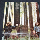 Show of Hands - Formerly Anthrax LP 1970 - pikkukuva 2