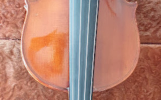 VIULU 4/4 VLADISLAV PROKOP 1913, MUKANA TODISTUS