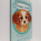 Holly Webb : The wish puppy - pikkukuva 1