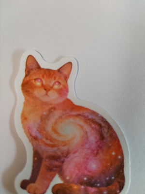 Söpö kissa tarra.