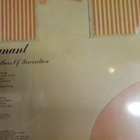 MOTHERS OF INVENTION - PREGNANT EX-/EX LP - pikkukuva 2