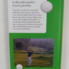 Juha ym. Jormanainen : Golf - parhaat peliharjoitteet - pikkukuva 2