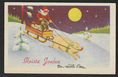 Possu vetää joulupukkia ja lahjarekeä
