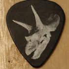 Plektra Alice In Chains - William DuVall - pikkukuva 1
