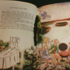 Survival guide to finnish CUISINE for businesspeople *Sis.pk - pikkukuva 3