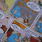 Goscinny & Uderzo - Asterix ja alppikukka - pikkukuva 3