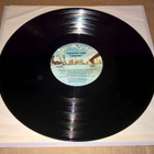 SAMANTHA SANG EMOTION LP - pikkukuva 3