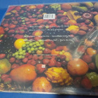 KATE BUSH - THE RED SHOES M-/M LP - pikkukuva 2