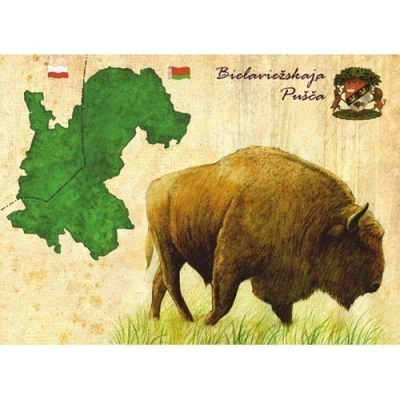Visentti / euroopanbiison (piirretty kortti) #3011