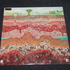 The Grass Roots - Sama LP 1975 - pikkukuva 1