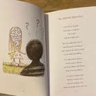 THE MELANCHOLY DEATH OF OYSTER BOY & OTHER STORIES - pikkukuva 5