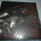 Children Of Bodom: Skeletons In The Closet 2Lp - pikkukuva 2