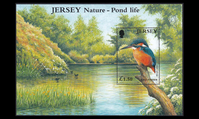 Jersey 986BL29 ** Lintu kuningaskalastaja (2001)