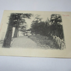 Terijoki n 1900 * - pikkukuva 1