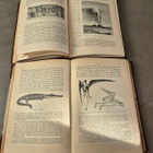 Jordens Historia I-II (kuv. 1894) - pikkukuva 4