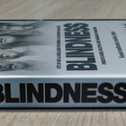 Fernando Meirelles: BLINDNESS - kertomus sokeudesta (2008) - pikkukuva 3