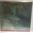 GIDDYUPS - SEASONS OF THE SHAKE 1987 EX+/M- LP - pikkukuva 2
