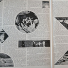 Genesis : Lamb Lies Down On Broadway 2LP. - pikkukuva 3