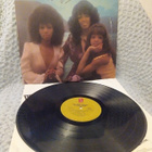 THE THREE DEGREES - INTERNATIONAL LP - pikkukuva 1