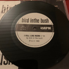 BIRD IN THE BUSH: I Fell Like Rome * French …* FIN 1990 - pikkukuva 2