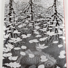 M. C. Escher : The graphic work : introduced and explaine... - pikkukuva 2