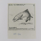 Trout And Salmon vuosikerta 1978 - pikkukuva 3
