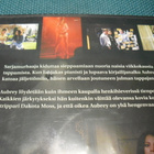 TIEDÄN KUKA TAPPOI MINUT (Lindsay Lohan)*** - pikkukuva 3