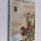 Anne Holm : David - pikkukuva 1