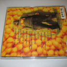 Beck - Mellow Gold (CD) - pikkukuva 2