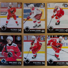 2024-25 Blueline Team Set kortteja 0,30 EUR/kpl - pikkukuva 5