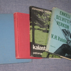Neljä kalastusaiheista kirjaa - pikkukuva 1