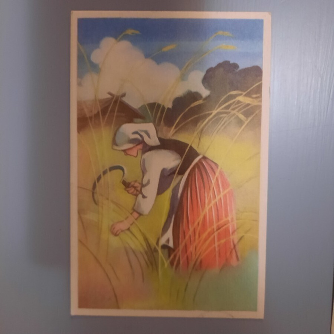 Wendelin 901 R2 k-79 myöhäiskäyttö