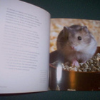 McBride: KÄÄPIÖHAMSTERIT (2012) Sis.p o s t i k u l u t - pikkukuva 4