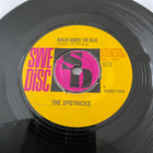 THE SPOTNICKS: Drina * Bach Goes To Sea * SWE 1963 - pikkukuva 2