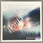 BETH HART: War In My Mind - 2LP, LTD purple, uusi - pikkukuva 3
